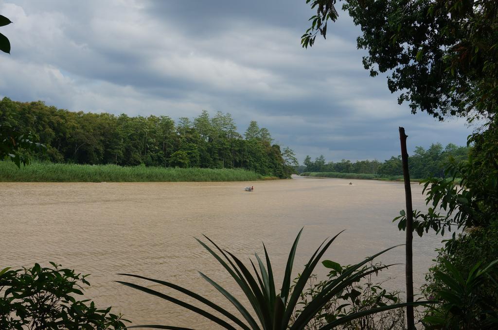 Borneo Natural Sukau Bilit Resort Exterior photo